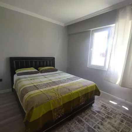 Apartament Safran House