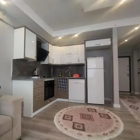 Apartament Safran House